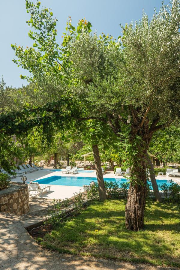 Olimpia Hotel أوليمبوس المظهر الخارجي الصورة